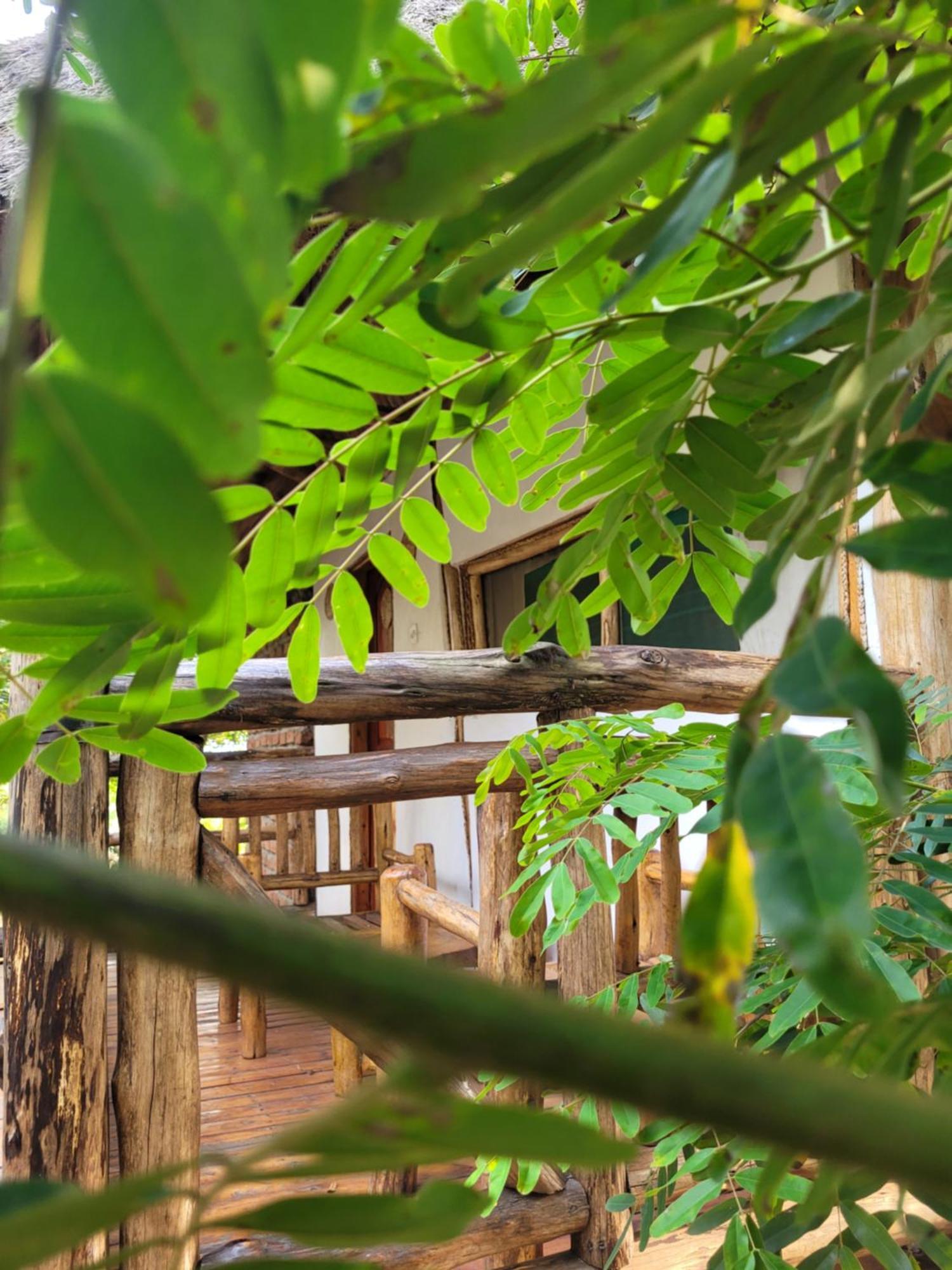 Songbird Safari Lodge & Campsite Katunguru Bagian luar foto